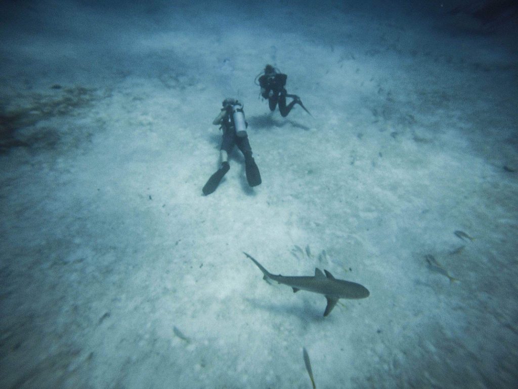 Columbus Scuba Central Ohio's Source For Scuba Diving!